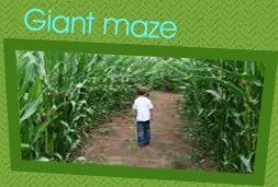 Giant Maze