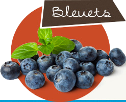 Bleuets