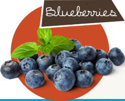 Blueberries