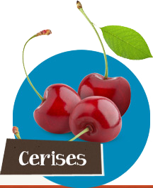 Cerises