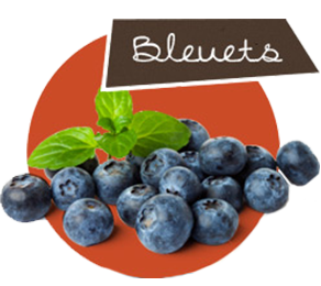 Bleuets