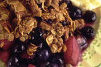 Blueberry and apple crisp