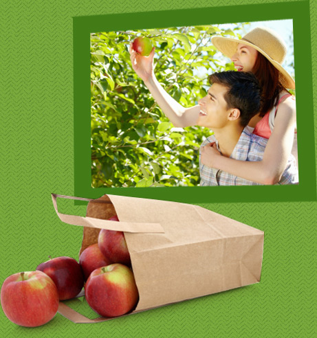 St-Hilaire mountain apple self picking as a couple