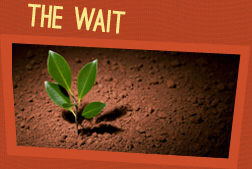The wait