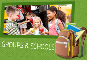 Groups and Schools