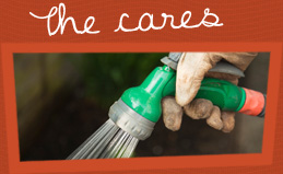 The cares