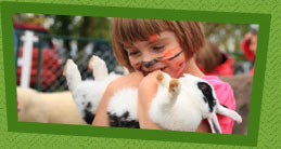 Fermette de petits animaux